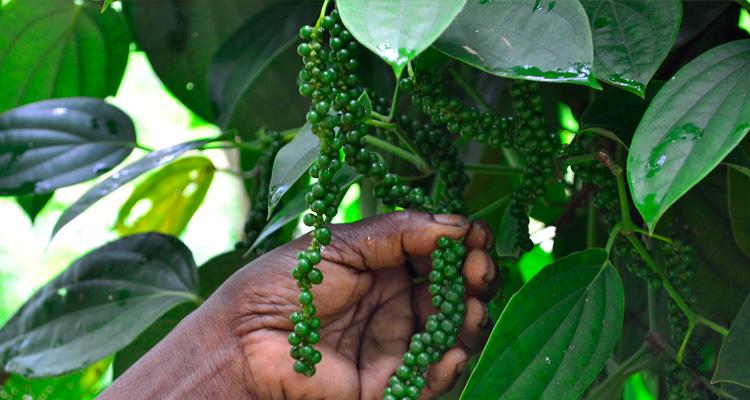 hgc4hi1nqg2gx8n adl9rkdrybwqtkdn4talmnznsrbewelbneq qwb msesumhpbluqaw m9l84kerf4kl1okzu0d9uu7z6buoegdo2gz 0nw0fkiezvc 1 pck4mgvmlhmklerzxmgnmvvxelh5xwy0cl4ol09e lsckgxwvopnnjhjg0lhcukvre0wd8x