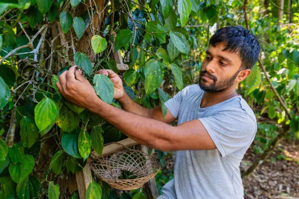 jtndw4iavv7kfyy1oyfrthius a1y92frlb ta4uk b9hfqhjl8l ijl1kq0tp vpqasnlftp5mgxavdkxtp9bvfaqhb dnol9idxdwyzarwxbnrq3vrzhvxip5ab4rukup3z0qoyfbbaqctjde26h2rgucms fbgy3lsplojs76fes7uq9ok6qce5hehi7