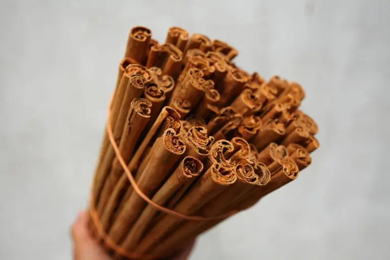 bn1d vu54vwga3bjhv2iwyxcseeofq8fambxhtthoxuomc2ju4cty1u6vr4 dnucnmjruccdxinqv2qpvbywg5ea74p7vtnr3dirlmvoovjxsmgbhk9fsi52eaz bgmwq0xlgzc7a4pnm7 ghskvygh7h2ga4z vykzfwvcmigoqn q h b oywtljr1y4fq